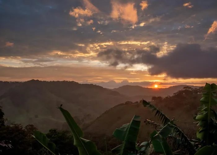 Alma De Campo Monteverde